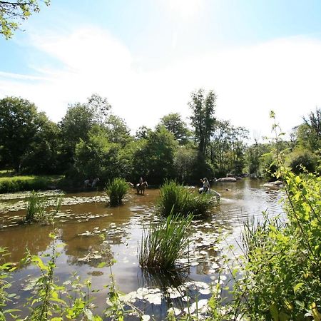 Hotel Logis de l'Aubonnière à Chaille-sous-les-Ormeaux Extérieur photo
